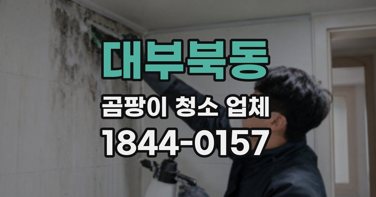 대부북동 곰팡이 청소 업체