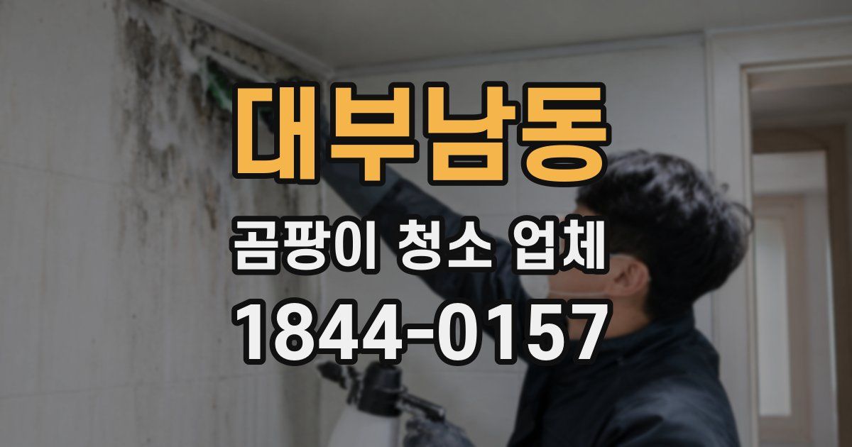대부남동 곰팡이 청소 업체
