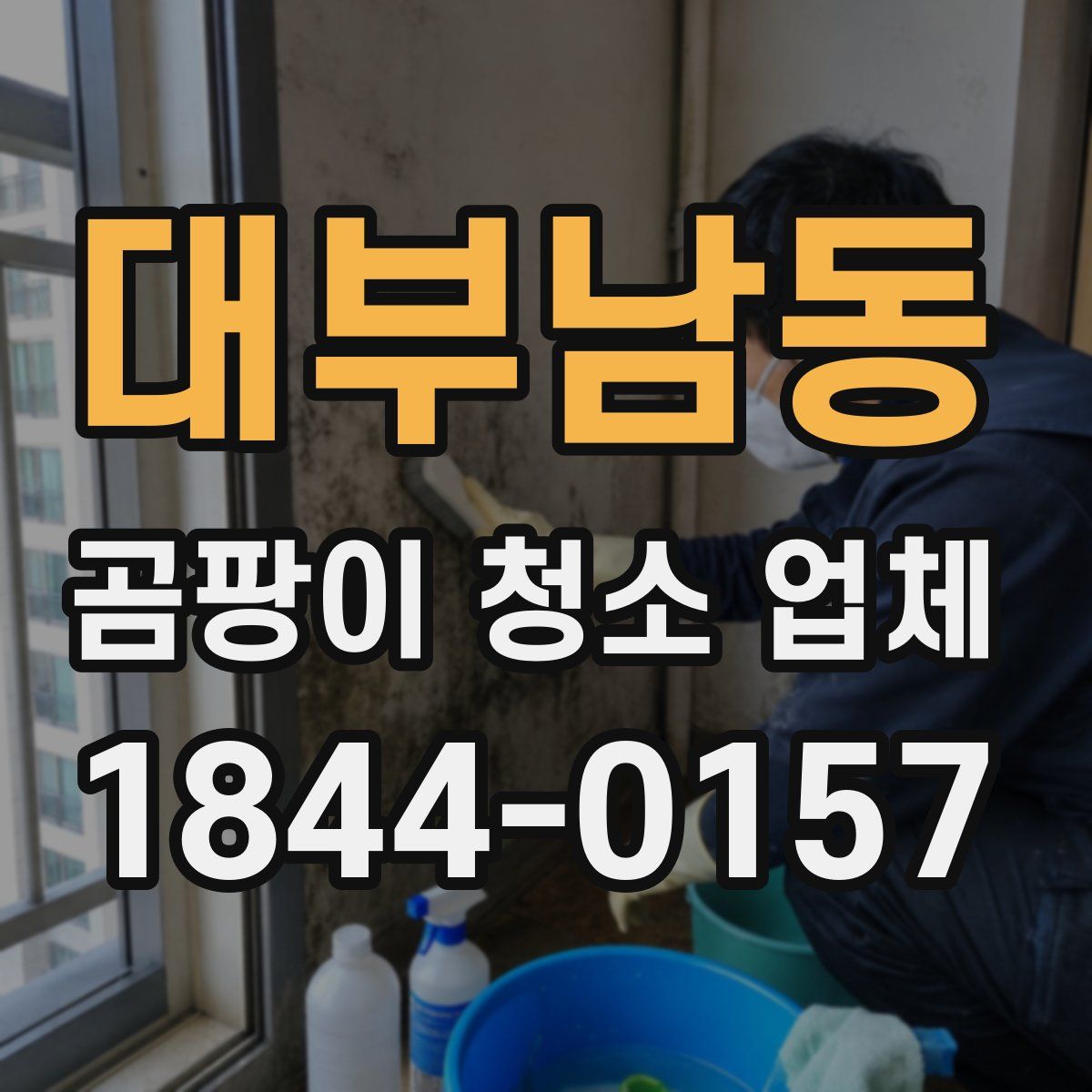 대부남동 곰팡이 청소 업체