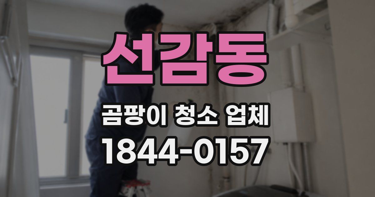 선감동 곰팡이 청소 업체