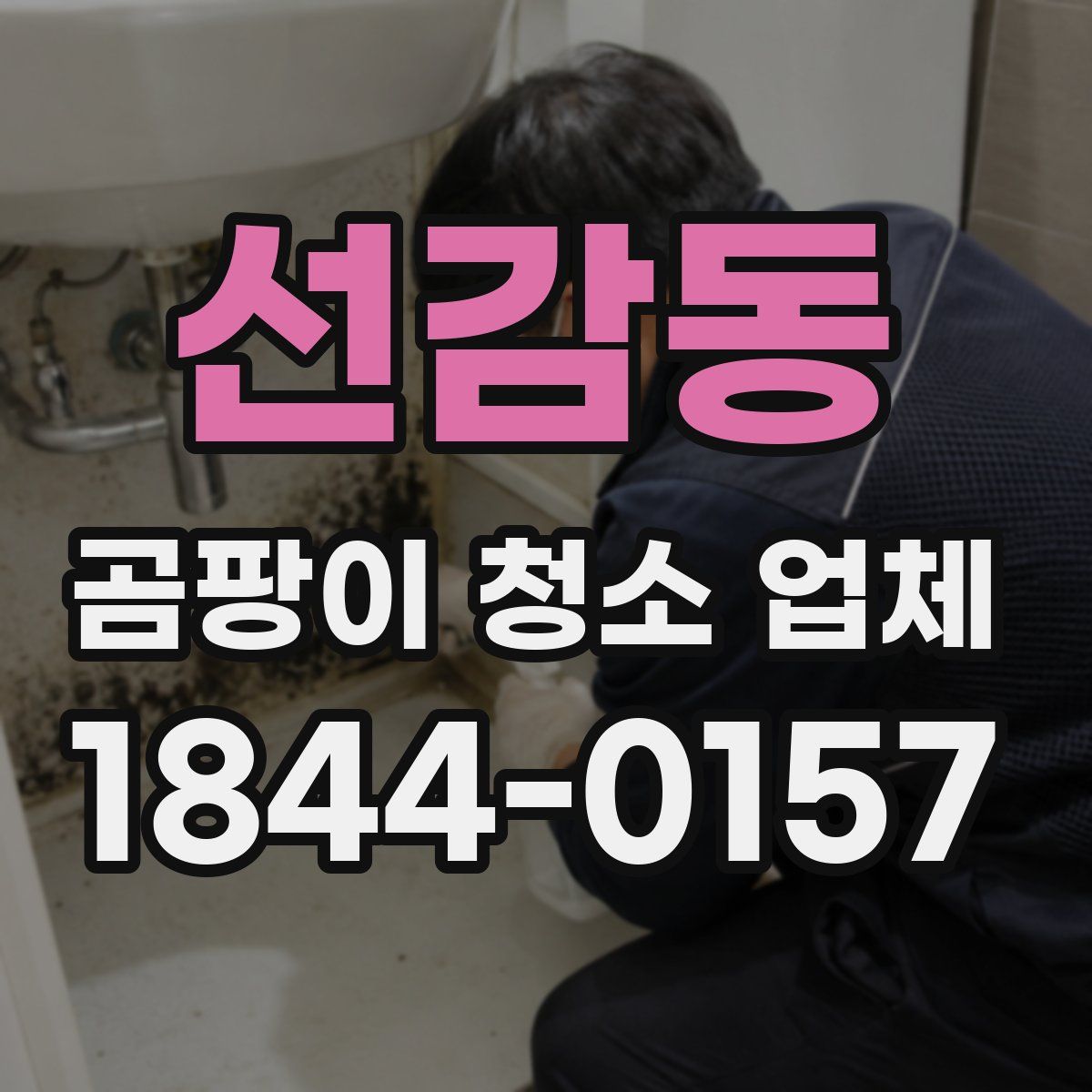 선감동 곰팡이 청소 업체