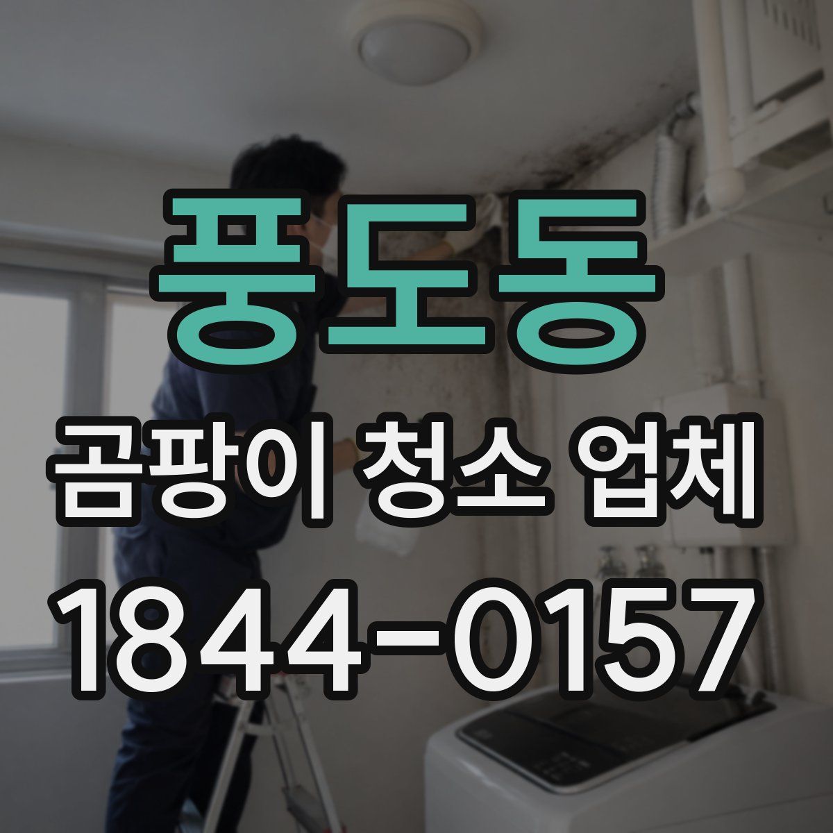 풍도동 곰팡이 청소 업체