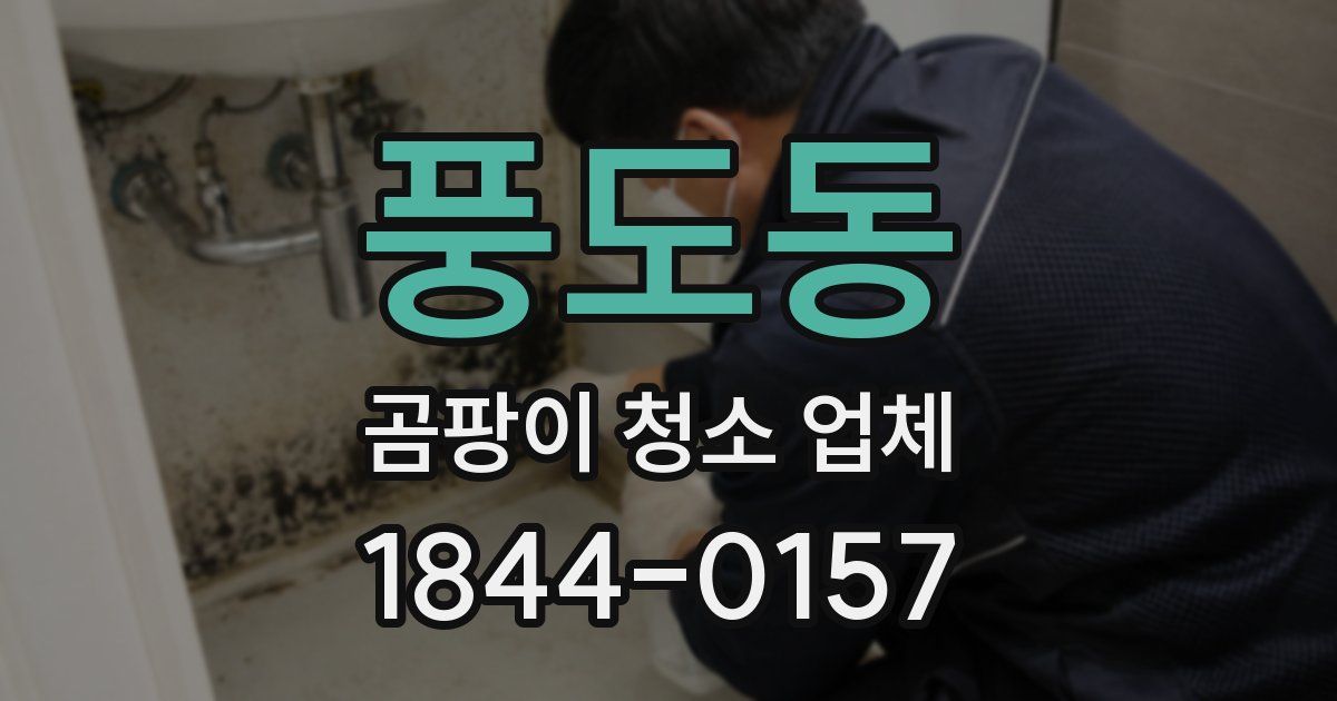풍도동 곰팡이 청소 업체