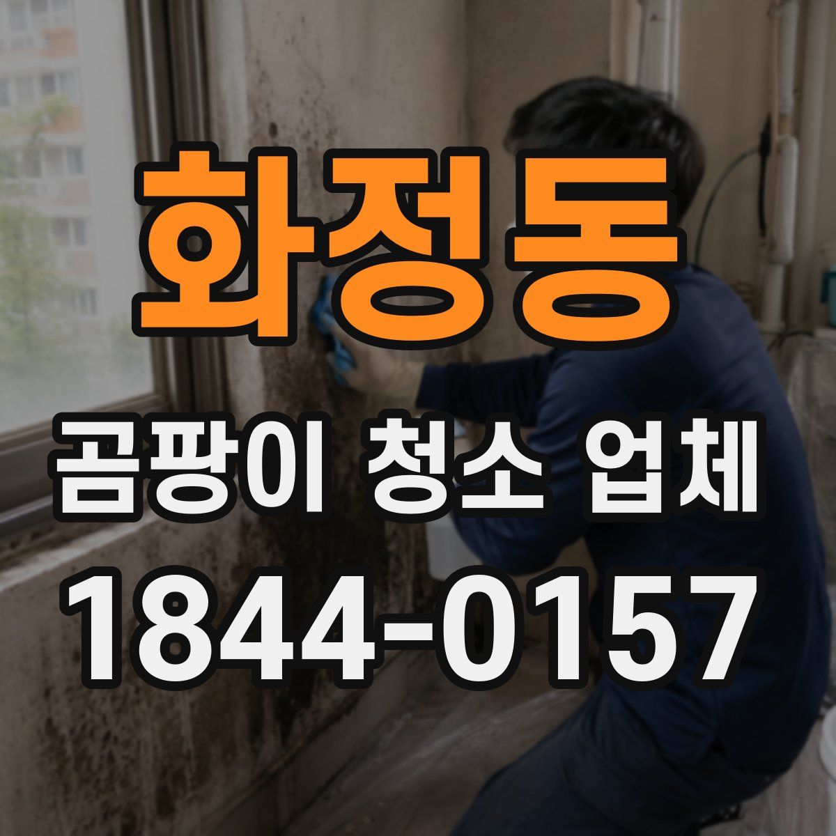 화정동 곰팡이 청소 업체