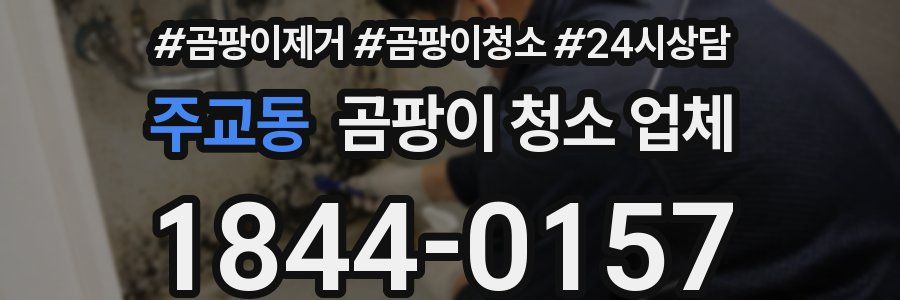 주교동 곰팡이 청소 업체