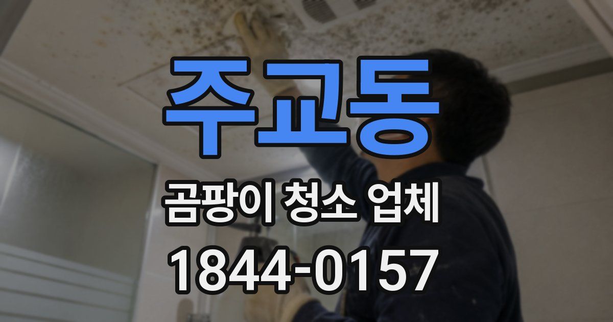 주교동 곰팡이 청소 업체