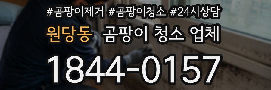 원당동 곰팡이 청소 업체