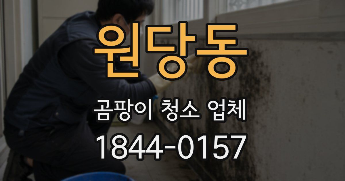 원당동 곰팡이 청소 업체