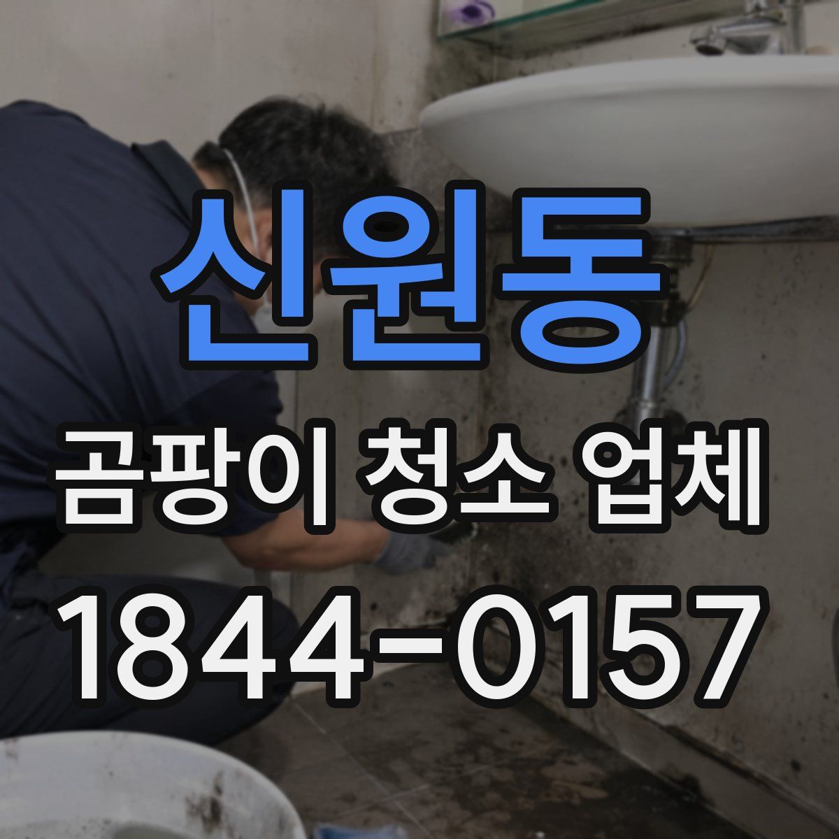 신원동 곰팡이 청소 업체