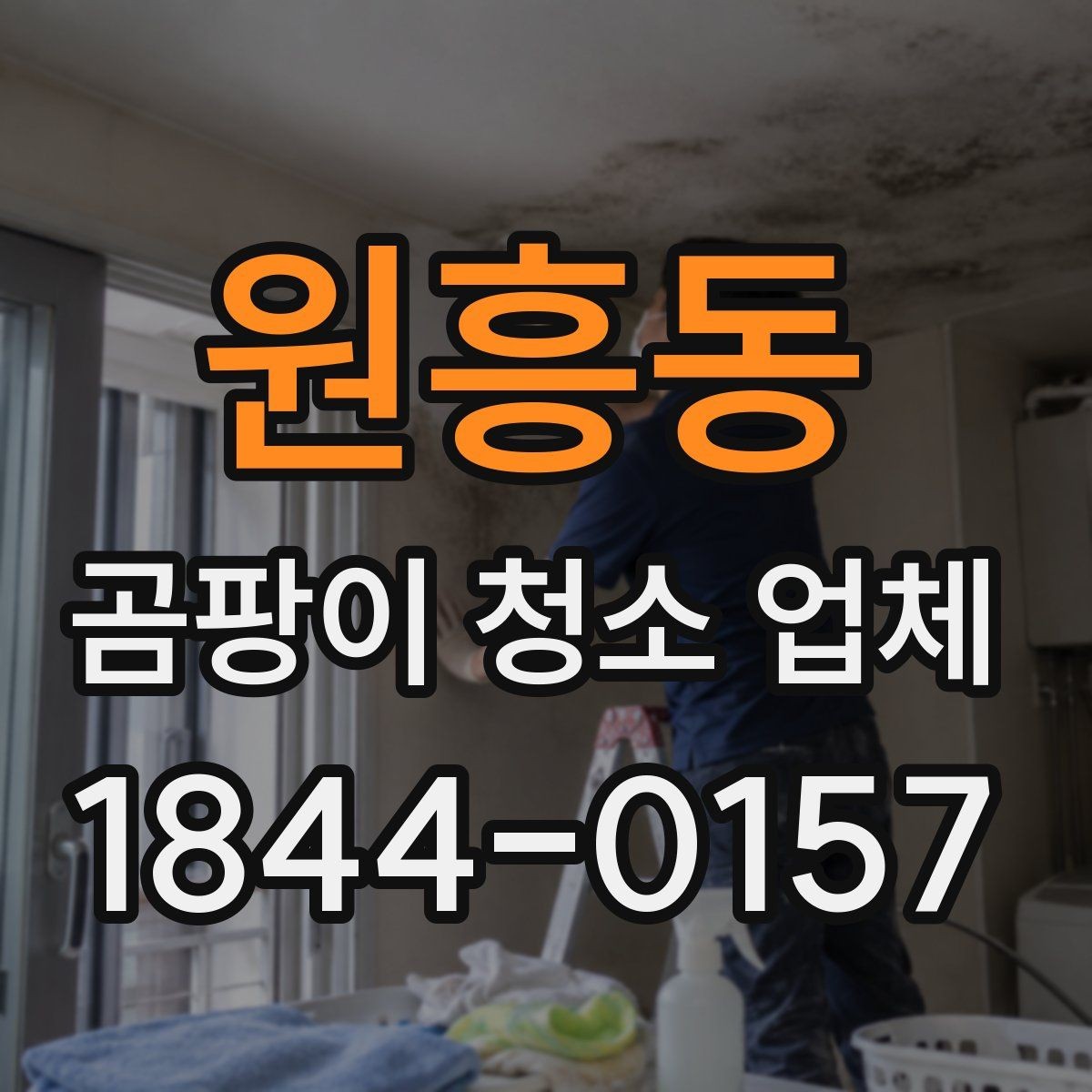 원흥동 곰팡이 청소 업체 침구와 패브릭 오염에 대응하는 실무 기준