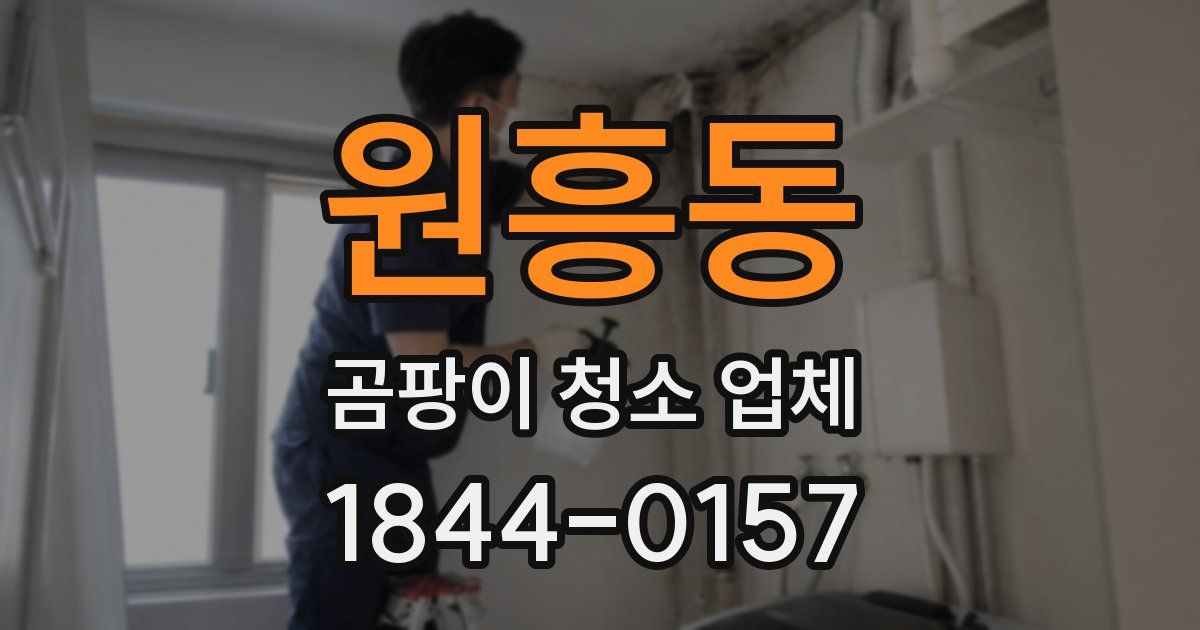 원흥동 곰팡이 청소 업체