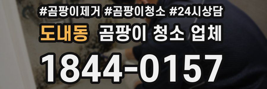 도내동 곰팡이 청소 업체