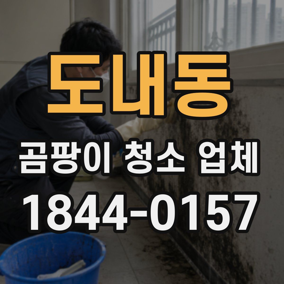 도내동 곰팡이 청소 업체