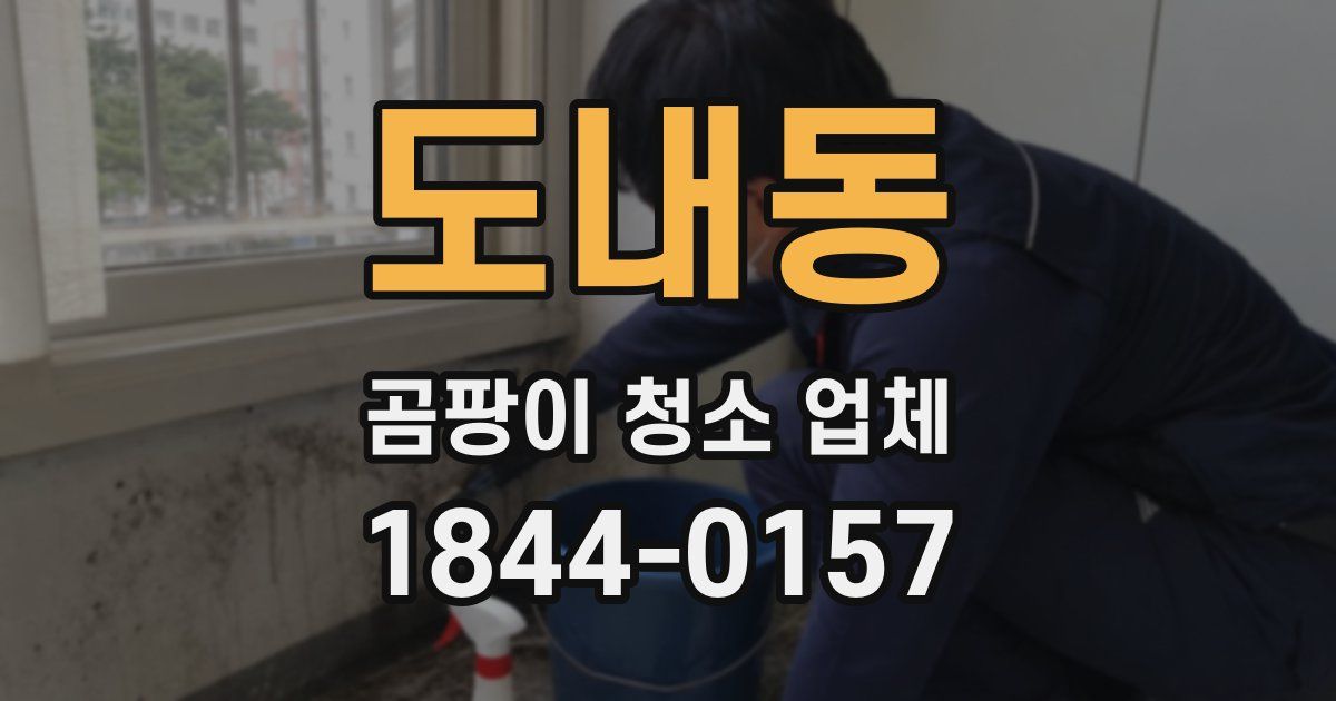 도내동 곰팡이 청소 업체