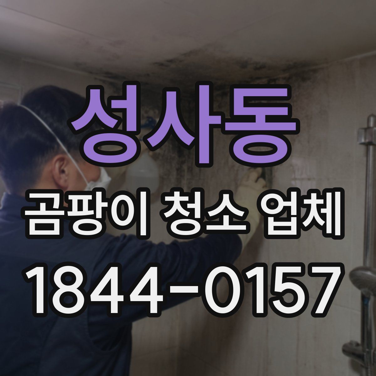 성사동 곰팡이 청소 업체