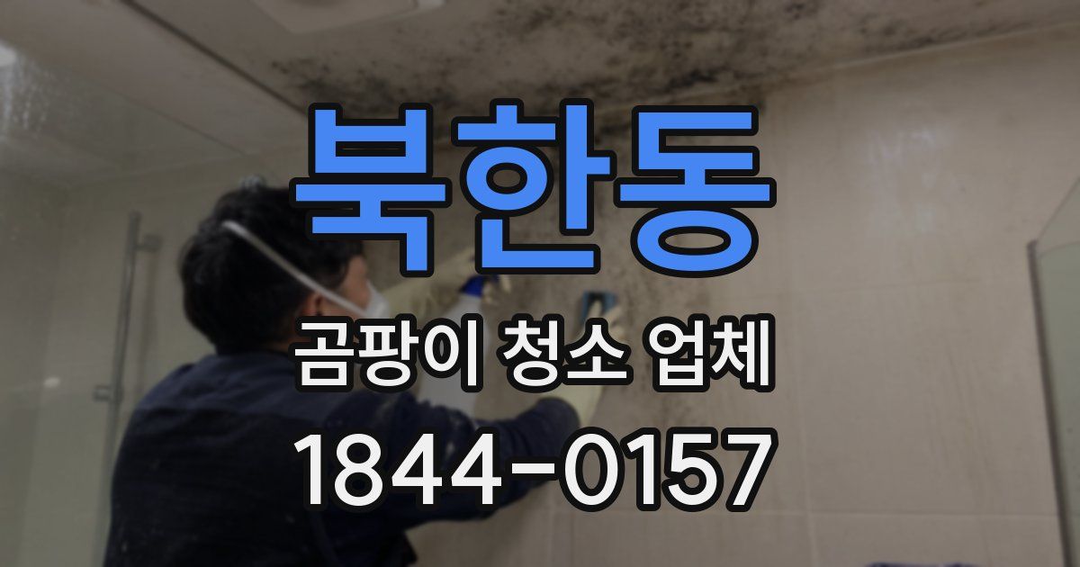 북한동 곰팡이 청소 업체