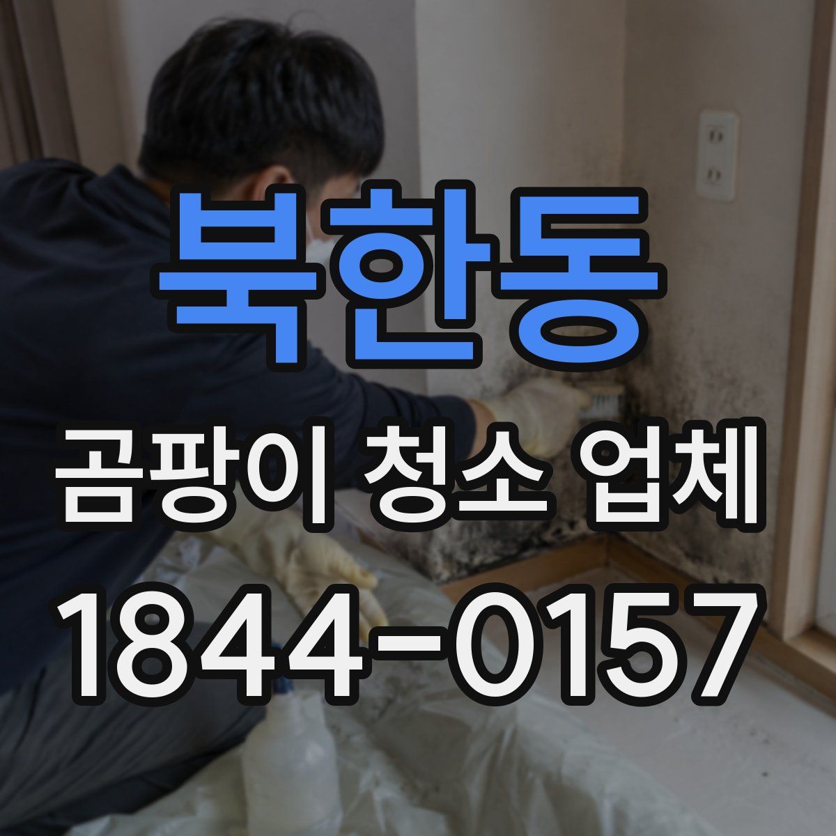 북한동 곰팡이 청소 업체