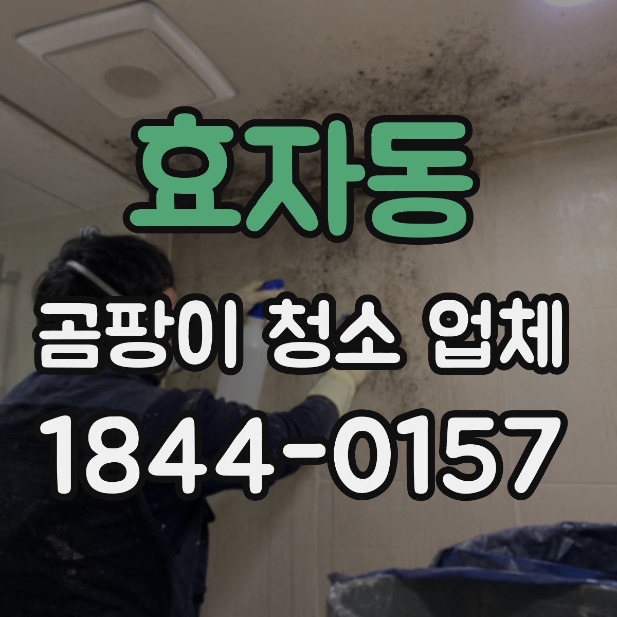 효자동 곰팡이 청소 업체