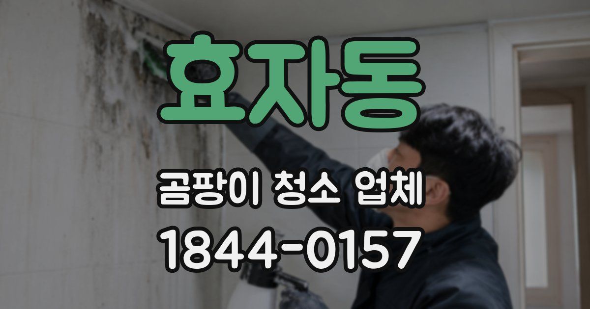 효자동 곰팡이 청소 업체