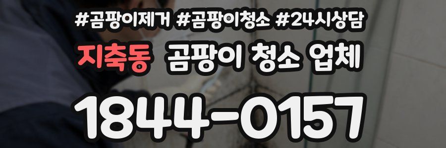 지축동 곰팡이 청소 업체