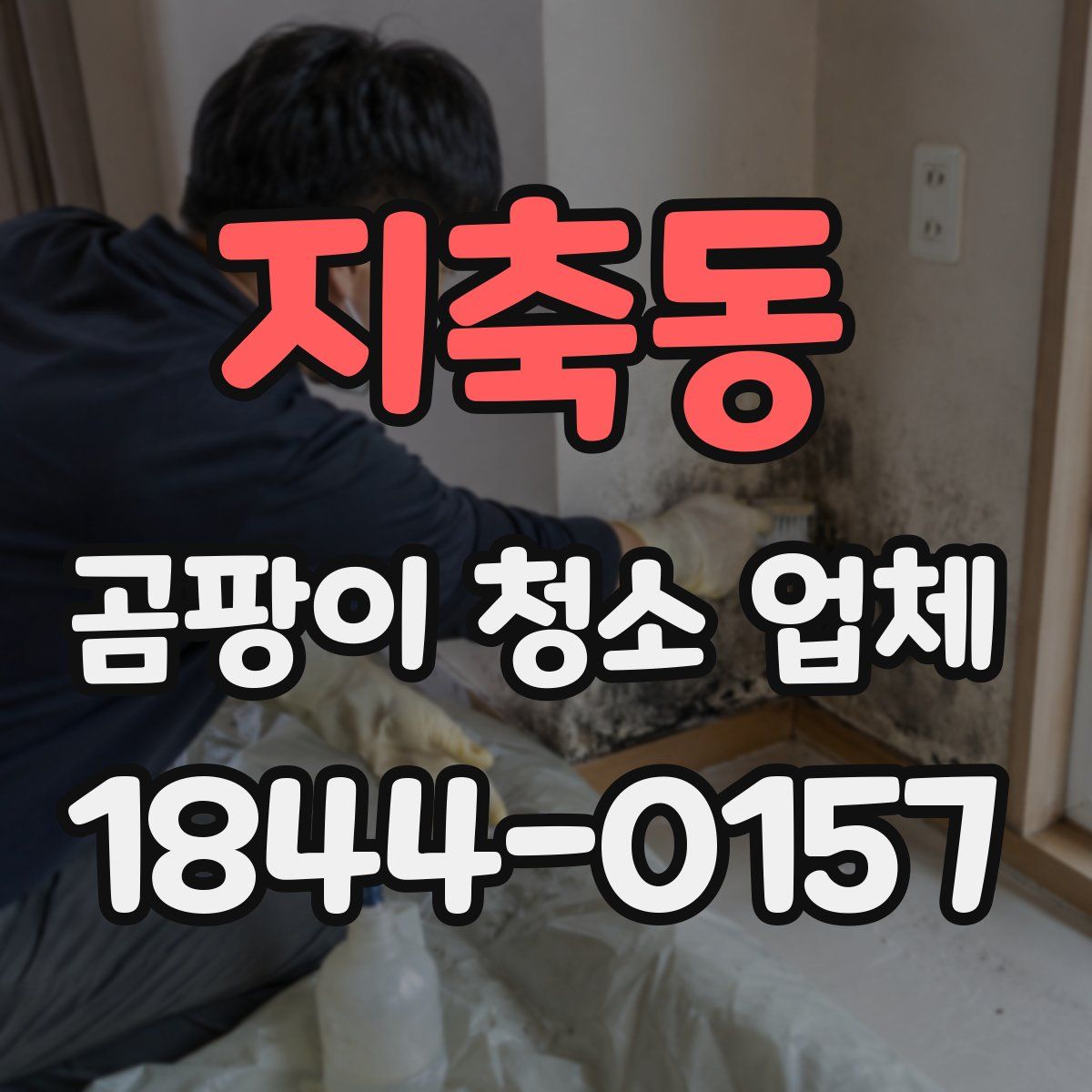 지축동 곰팡이 청소 업체
