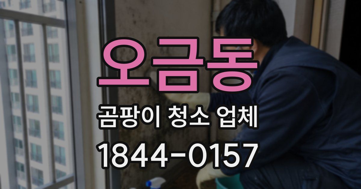 오금동 곰팡이 청소 업체