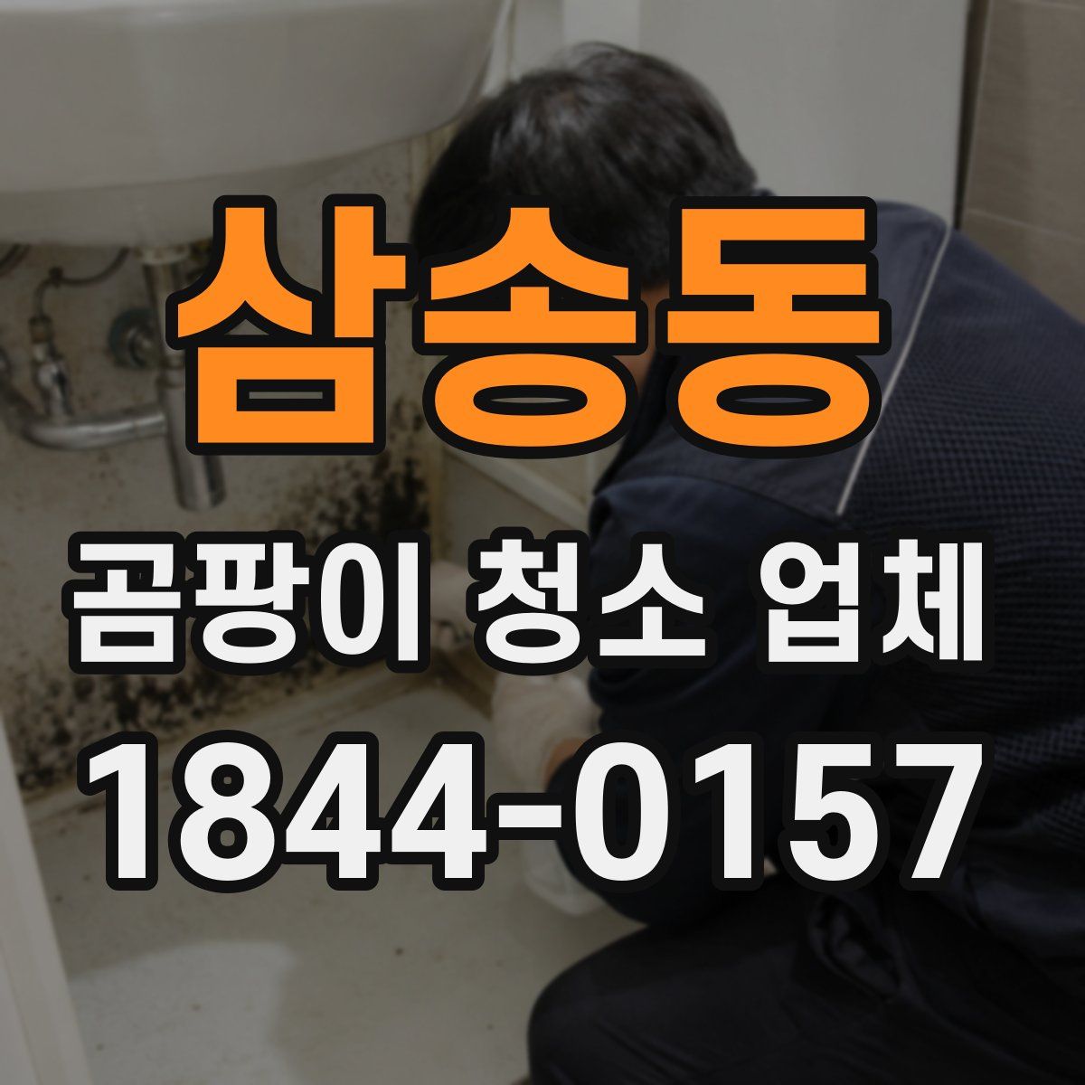 삼송동 곰팡이 청소 업체