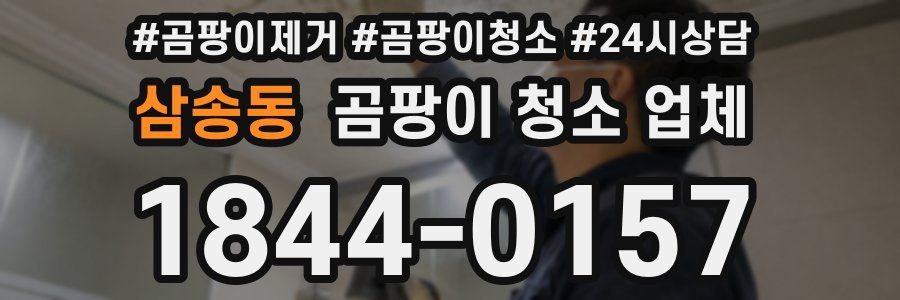 삼송동 곰팡이 청소 업체