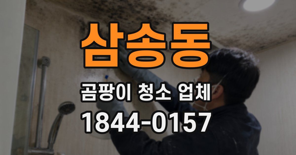 삼송동 곰팡이 청소 업체