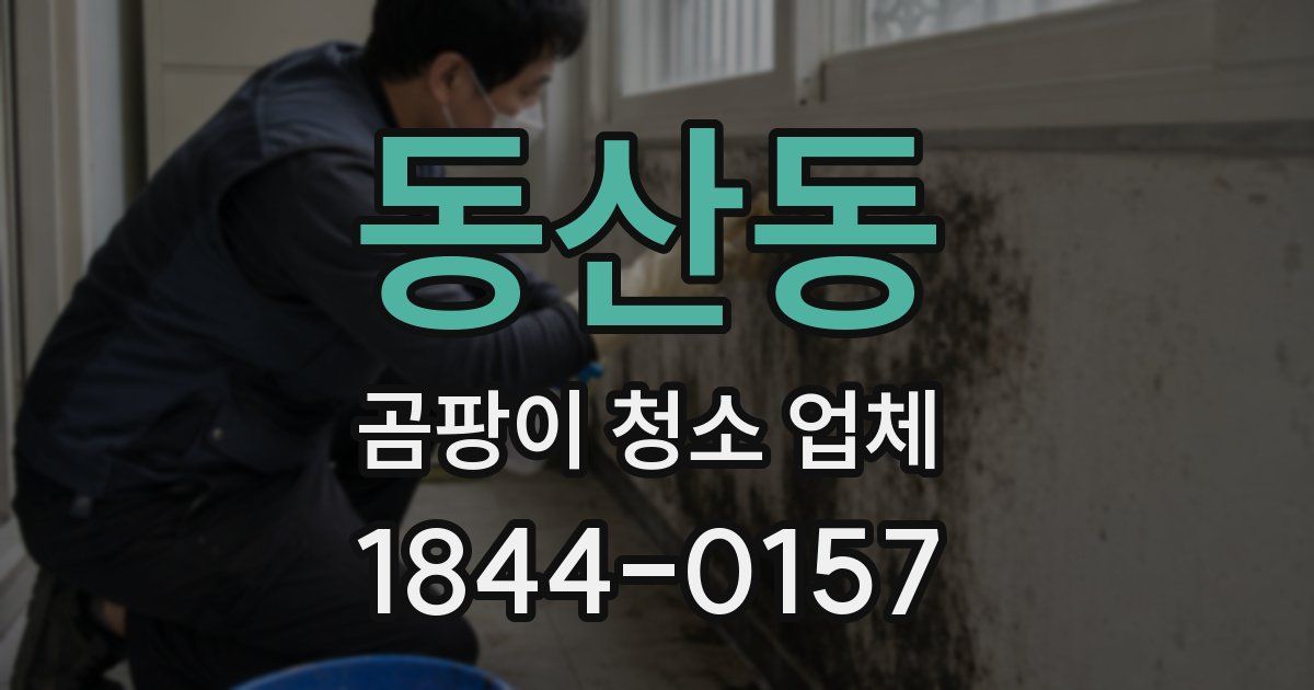 동산동 곰팡이 청소 업체