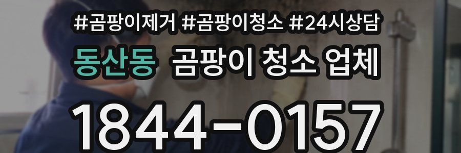 동산동 곰팡이 청소 업체