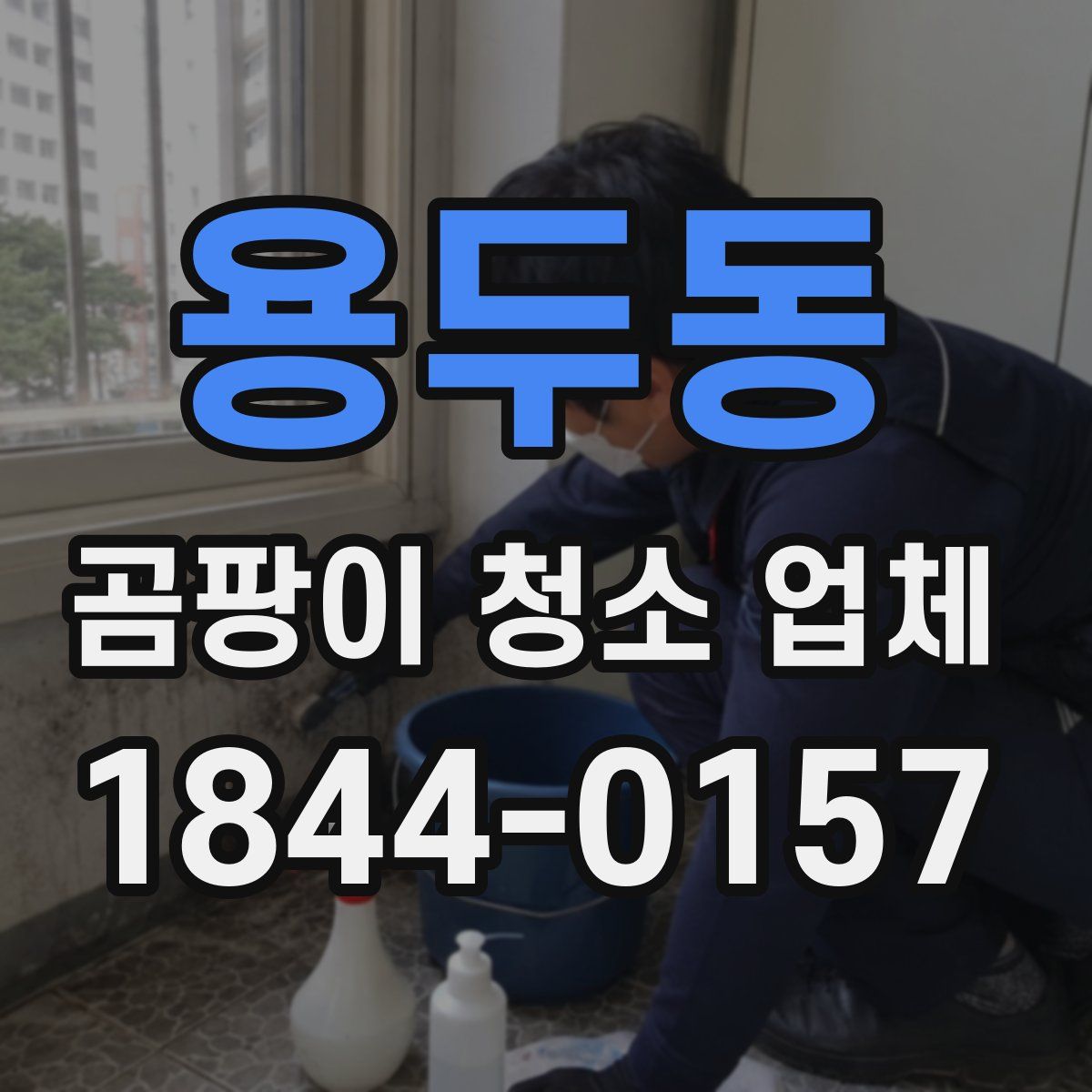 용두동 곰팡이 청소 업체