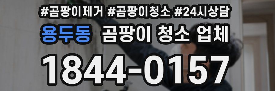 용두동 곰팡이 청소 업체