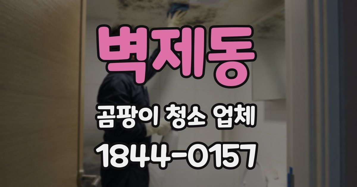 벽제동 곰팡이 청소 업체