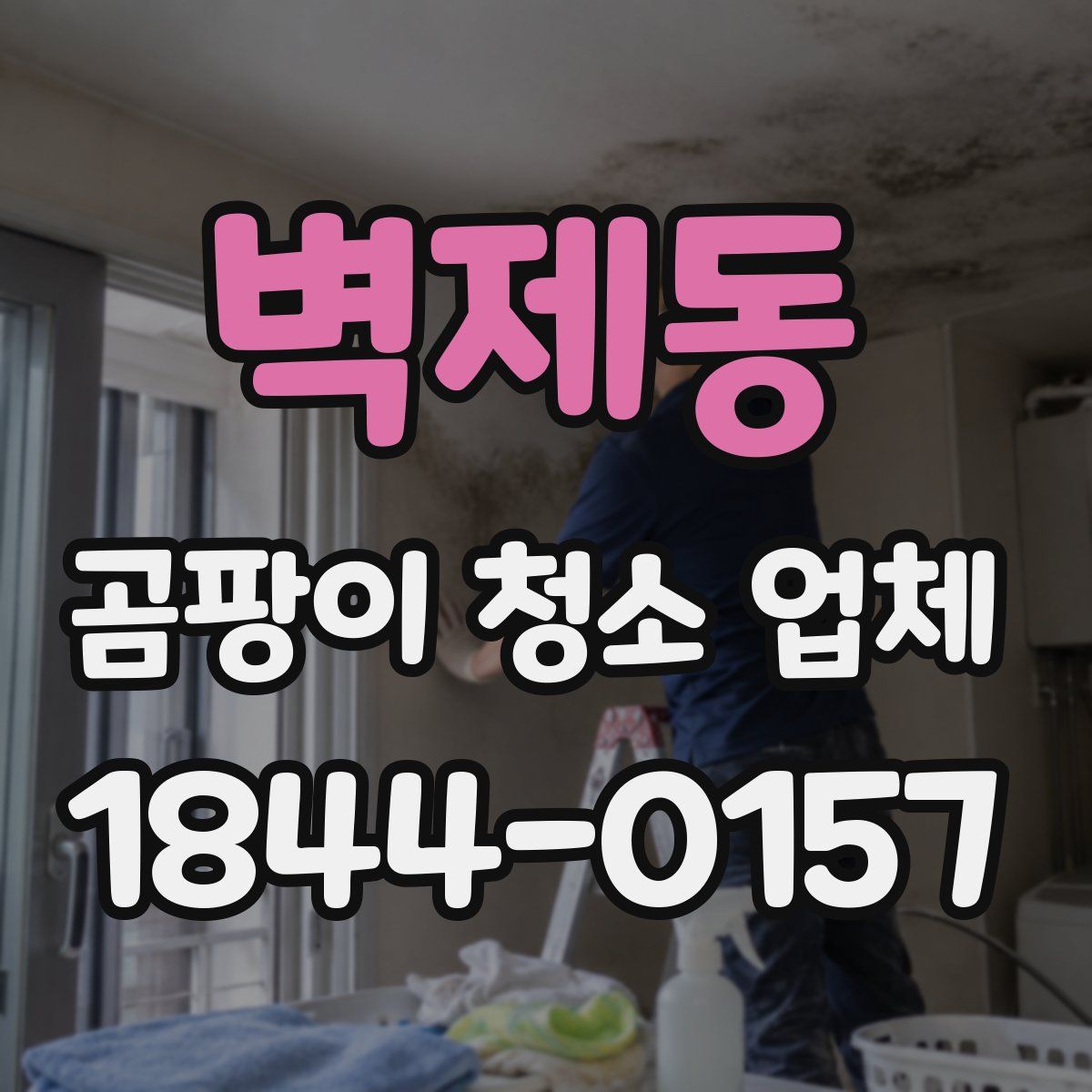 벽제동 곰팡이 청소 업체