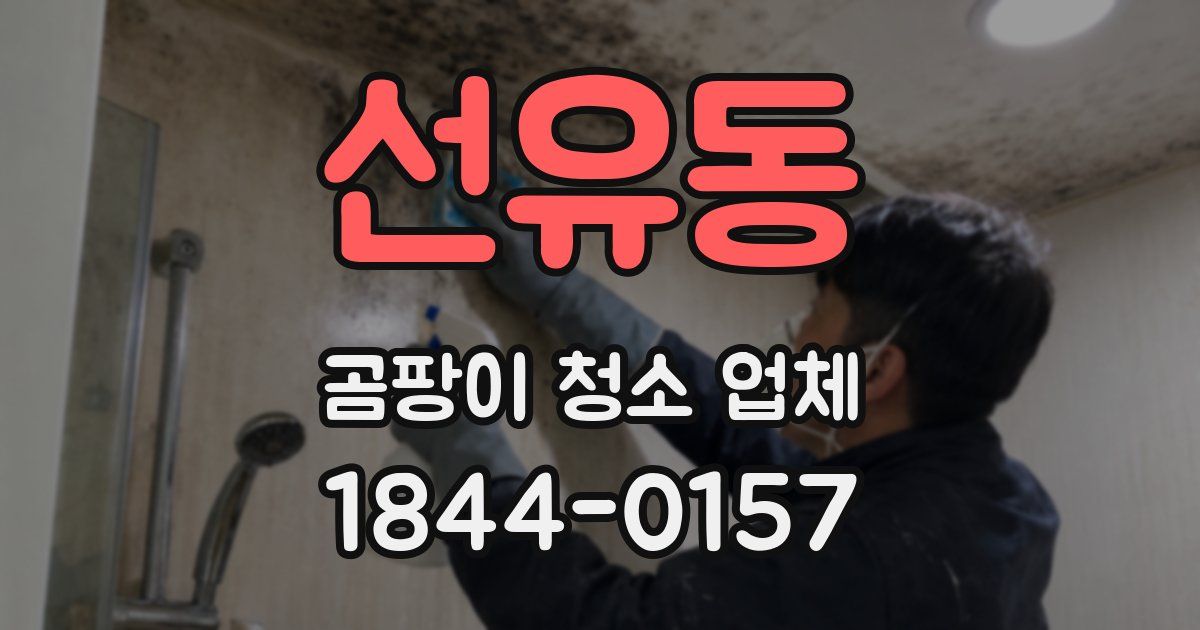 선유동 곰팡이 청소 업체