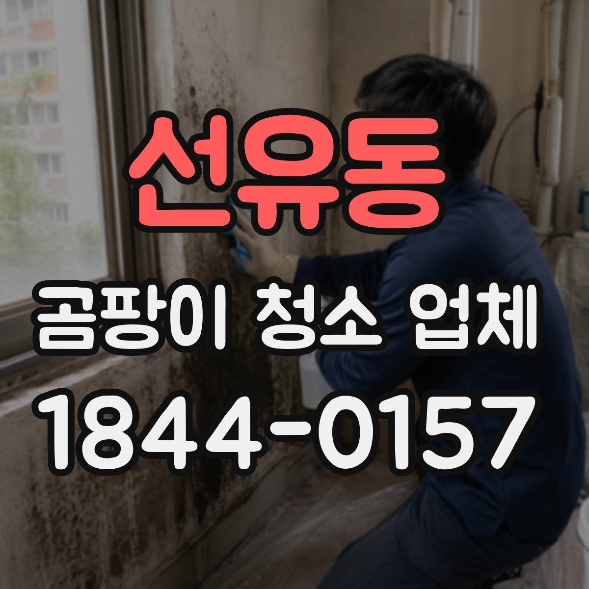 선유동 곰팡이 청소 업체