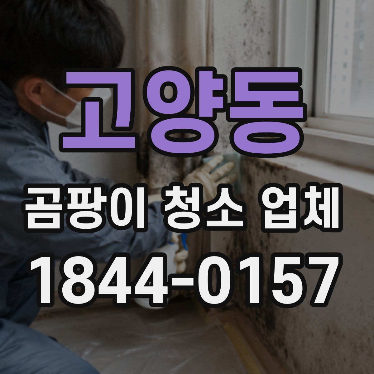 고양동 곰팡이 청소 업체 누수 의심 구간을 먼저 살피는 순서