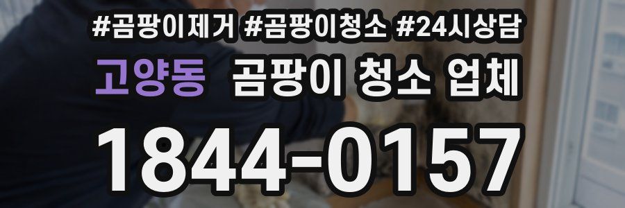 고양동 곰팡이 청소 업체