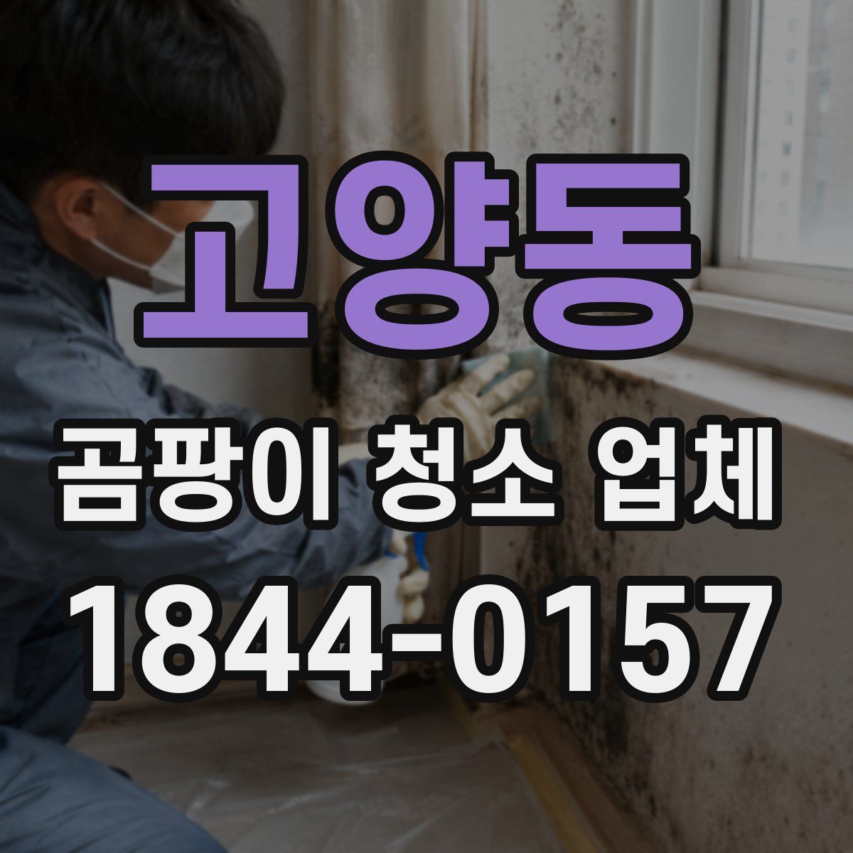 고양동 곰팡이 청소 업체