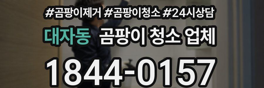 대자동 곰팡이 청소 업체