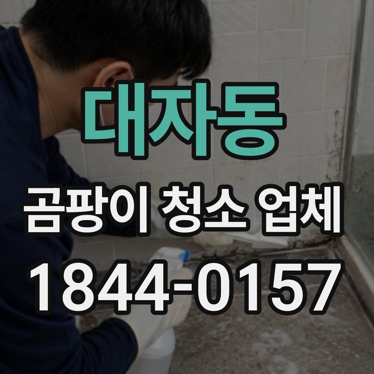 대자동 곰팡이 청소 업체