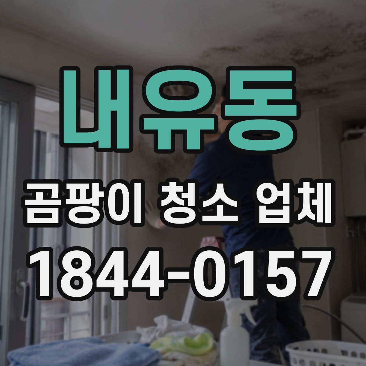 내유동 곰팡이 청소 업체