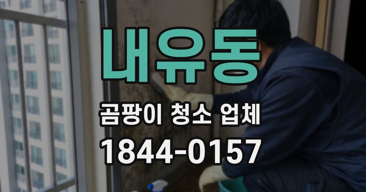 내유동 곰팡이 청소 업체