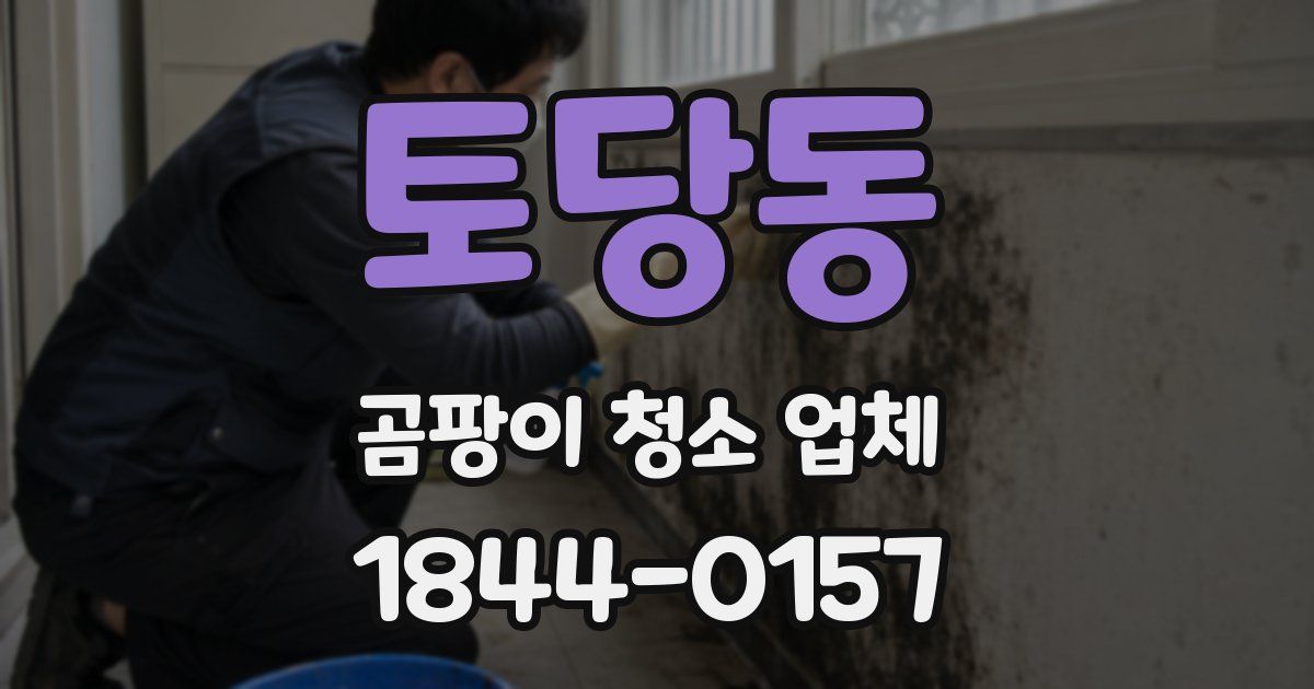 토당동 곰팡이 청소 업체