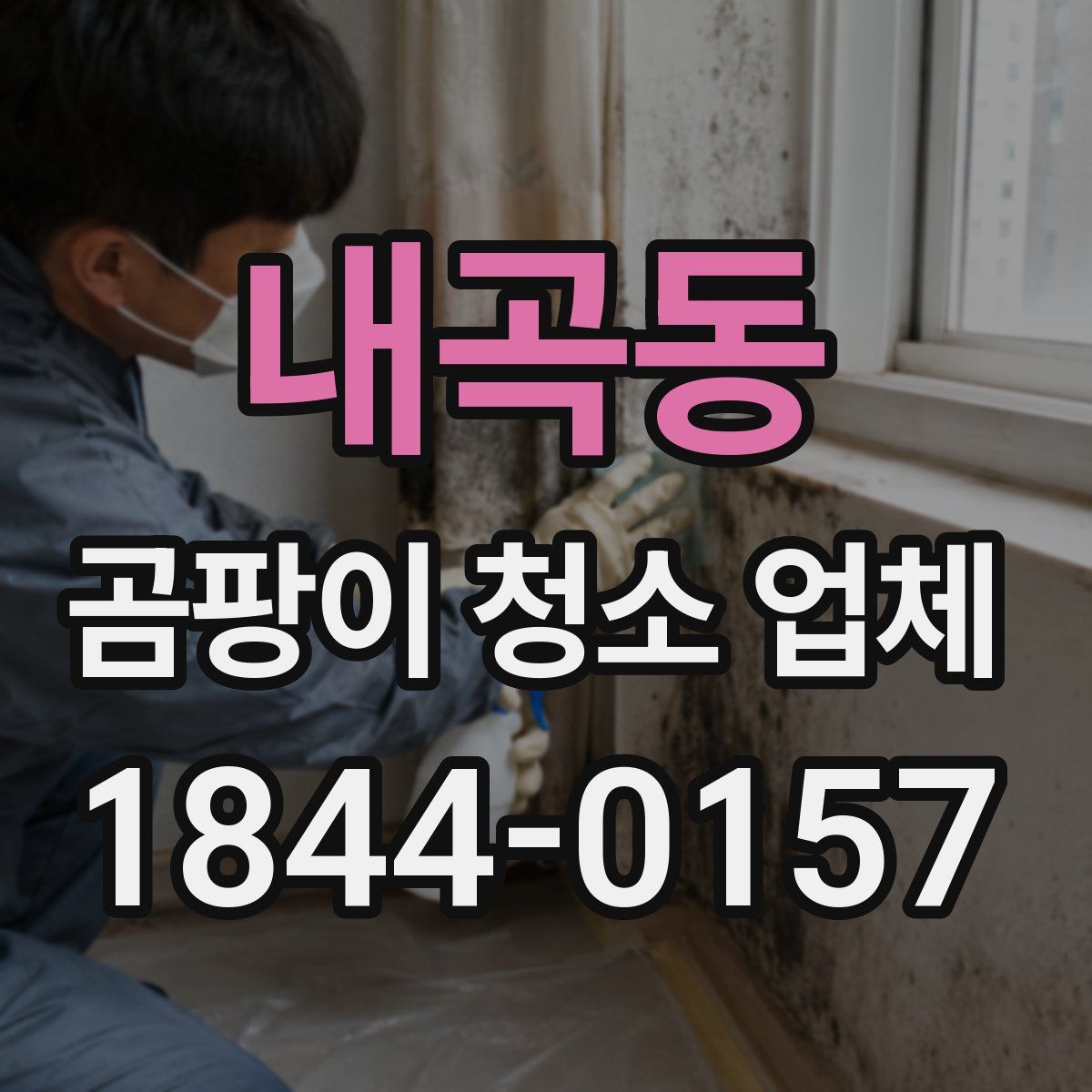 내곡동 곰팡이 청소 업체