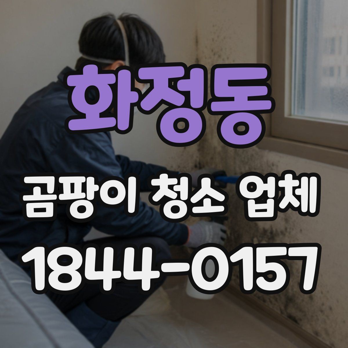 화정동 곰팡이 청소 업체 작업 순서와 오염 심한 구역 확인법