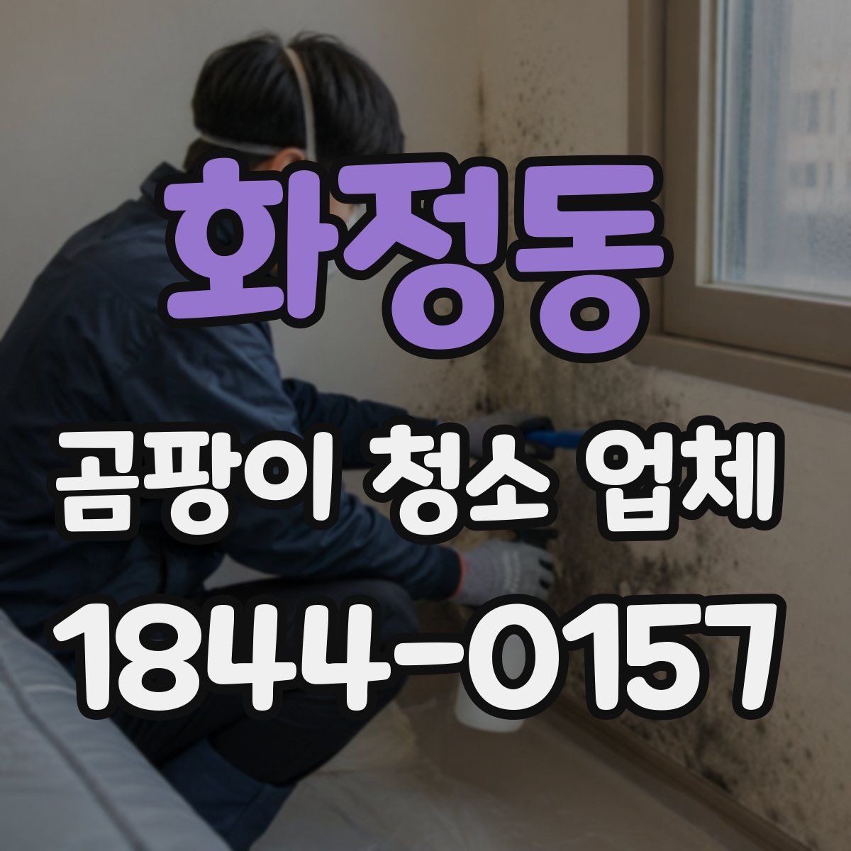 화정동 곰팡이 청소 업체