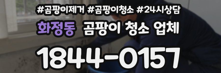 화정동 곰팡이 청소 업체