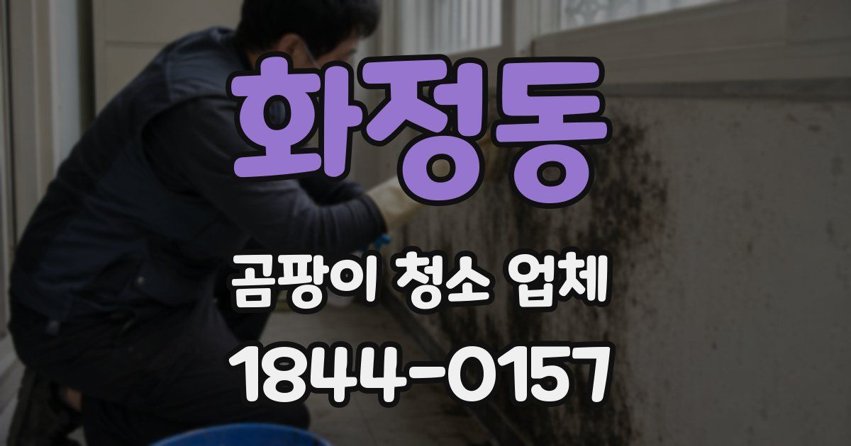 화정동 곰팡이 청소 업체